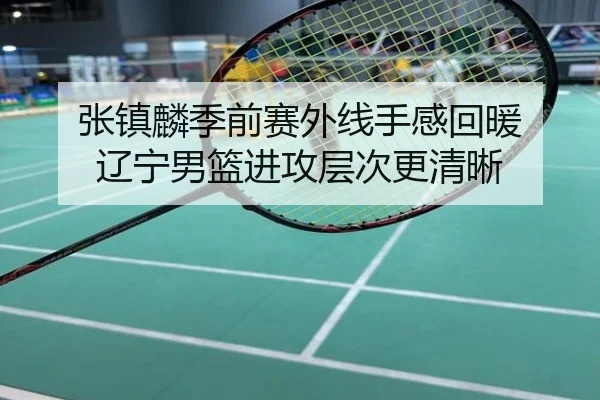 张镇麟季前赛外线手感回暖 辽宁男篮进攻层次更清晰