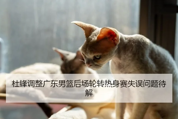 杜锋调整广东男篮后场轮转热身赛失误问题待解