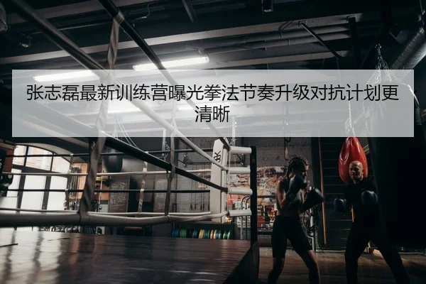 张志磊最新训练营曝光拳法节奏升级对抗计划更清晰